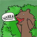 _BIG_BEAR_