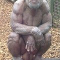 strannik080