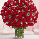 Big bouquet of red roses