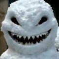 Snowrat