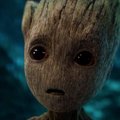 --Groot--