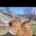 stianw
