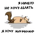 eMypMyp