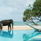 ▷ Holidays in Sri Lanka