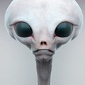 Mr_twester