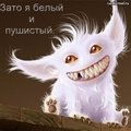 CepbIuVolk