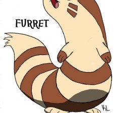 Furret