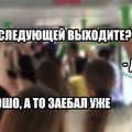 romka499