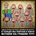 -Filimon-