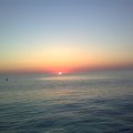 anton_X