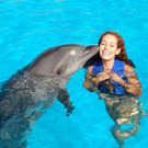 поплавать с дельфинами)