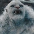 yeti5O5