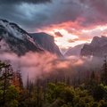 MiST__