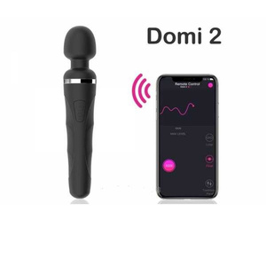 Lovense Domi 2