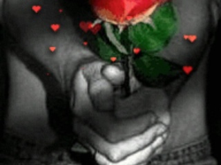 My Photos