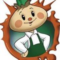 Cipollo