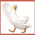 Jackm220