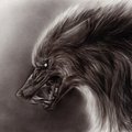 Fenrirus