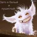 dermorr