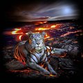 Lilin-Fire-Tiger-Group