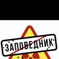 Zapovednic
