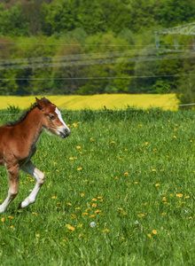 Mellow-Love My Photos photo 4334298