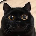 CaXaPoK_Mmm