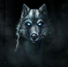 WOLFY_IN_SHADOW