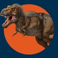 _T-Rex_