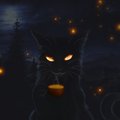 KnightOfOrder