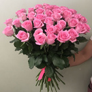 Pink roses