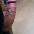 Dimitriusa69