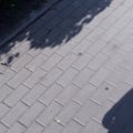 Xyz199o
