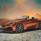 BMW Z4)*