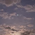 Dima_23_7