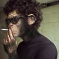 che-kak