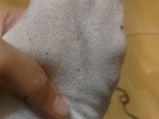 my feet