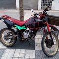 cuco77