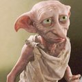 M_Gargantua