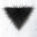 Hairybushy