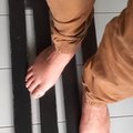 taulfeet
