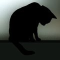 shadow_man
