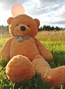 -teddy-bear- My Photos photo 5880083