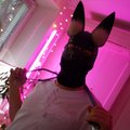 Nik-Sins