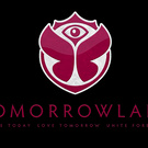 Go to tomorrowland fest