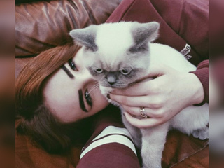 С котиком