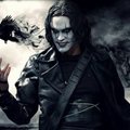 andrezof