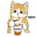 artem-knyazev