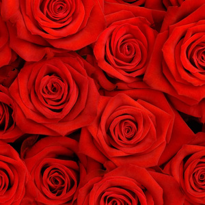 Bouquet of flowers