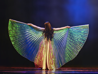 Belly Dance with wings